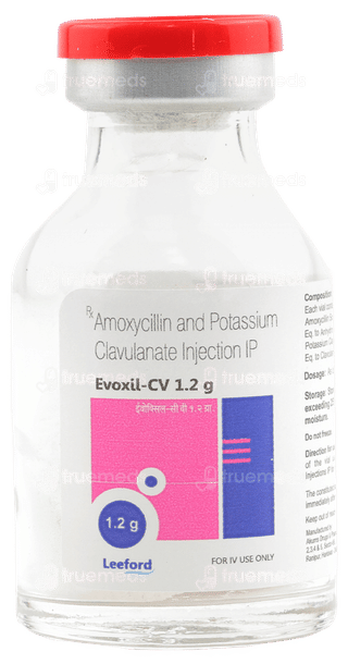 Evoxil Cv 1.2 GM Injection 1